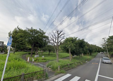 丸山台公園の画像1