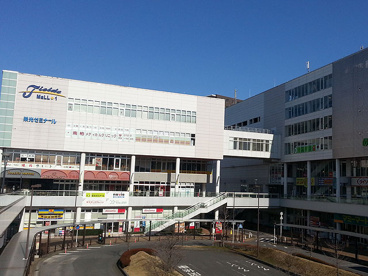マミーマート フィールズ南柏店の画像1