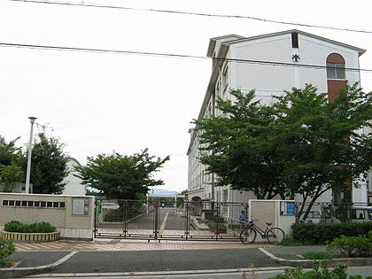 の画像