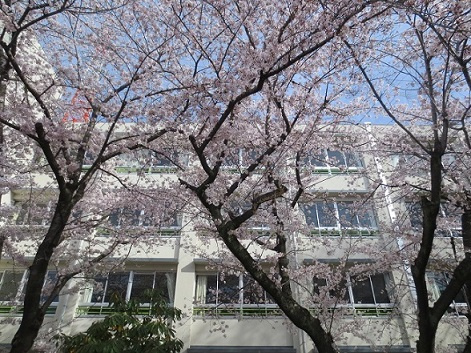 の画像