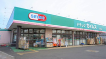 ドラッグセイムス/上福岡西店
