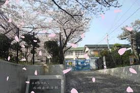 東大阪市立枚岡東小学校の画像1