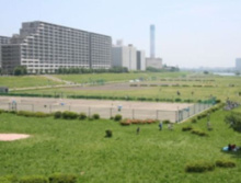 スポーツ施設 多摩川丸子橋緑地少年野球場