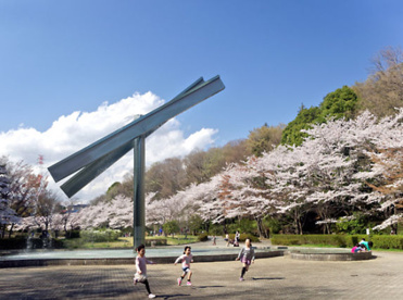 芹ヶ谷公園の画像1