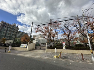 中津小学校の画像1