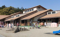 幼稚園 さくらこども園