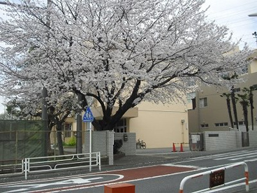 藤沢市立大庭小学校の画像1