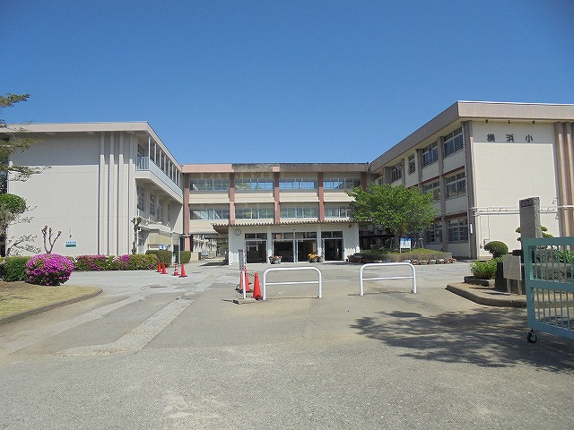 の画像