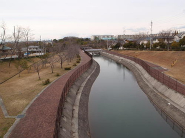 水辺公園の画像1