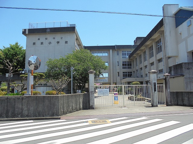 の画像