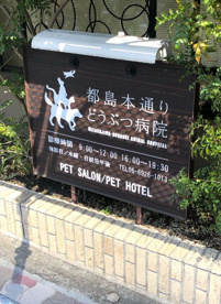 都島本通りどうぶつ病院の画像1