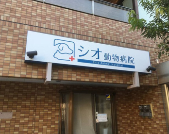 シオ動物病院の画像1