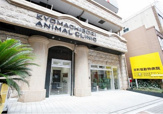 京町堀動物病院