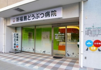 新福島どうぶつ病院の画像1