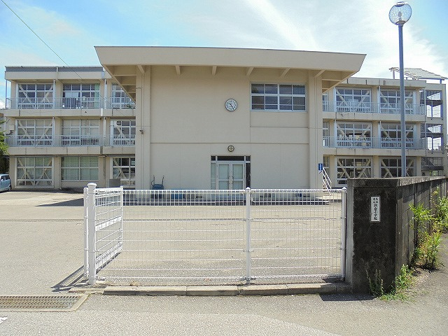 の画像