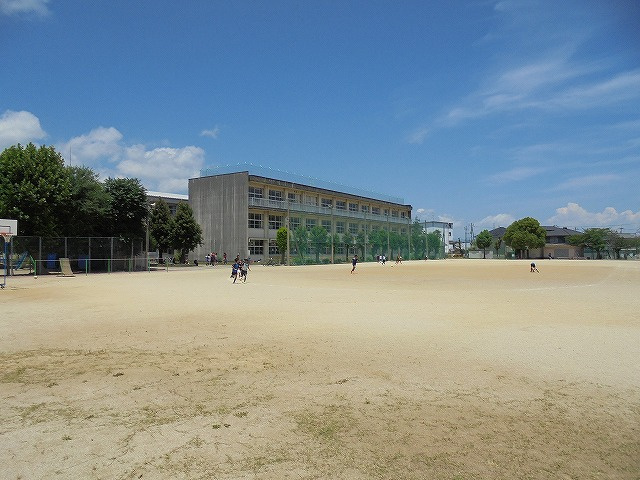 の画像