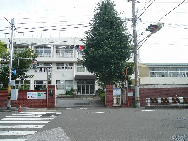 の画像