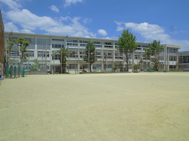 の画像