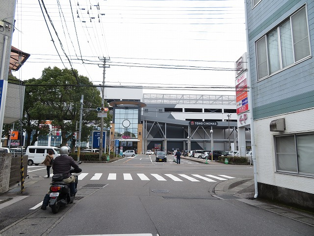 の画像