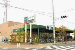 の画像