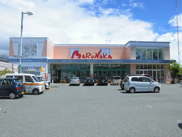 の画像