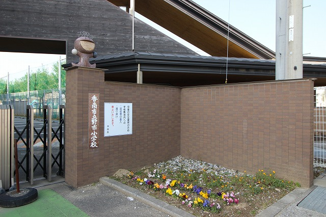 の画像