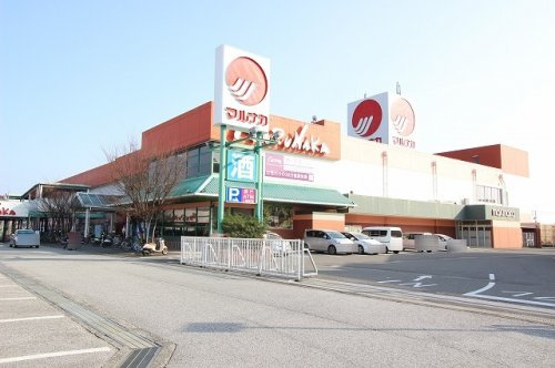 の画像