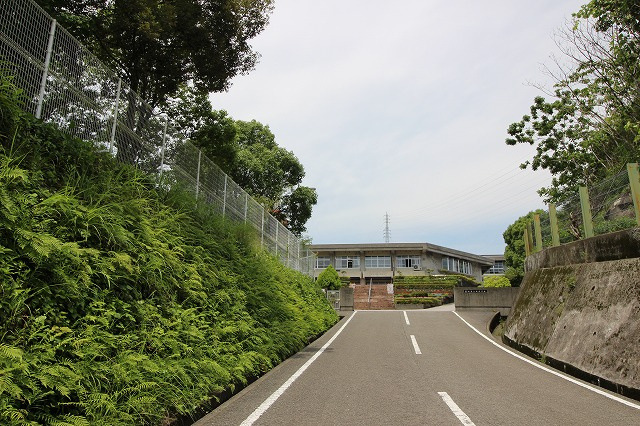 の画像