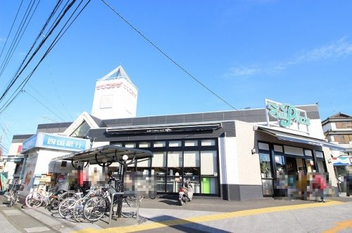 の画像