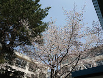 第五小学校の画像1