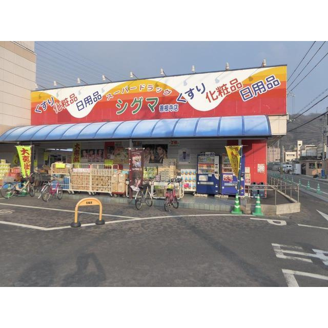 の画像