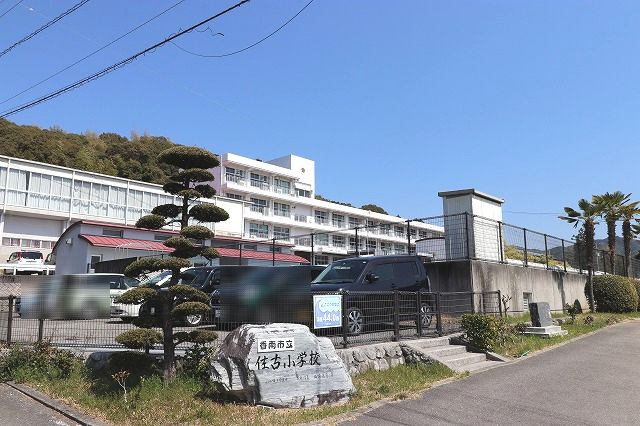 の画像