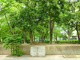 徳丸ヶ原公園の画像