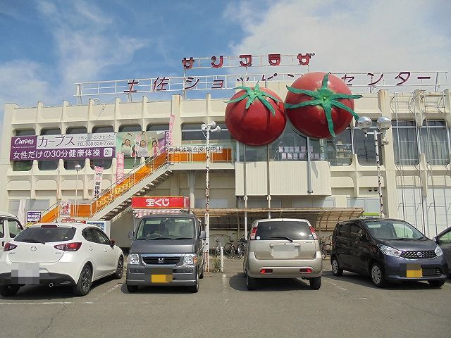 の画像