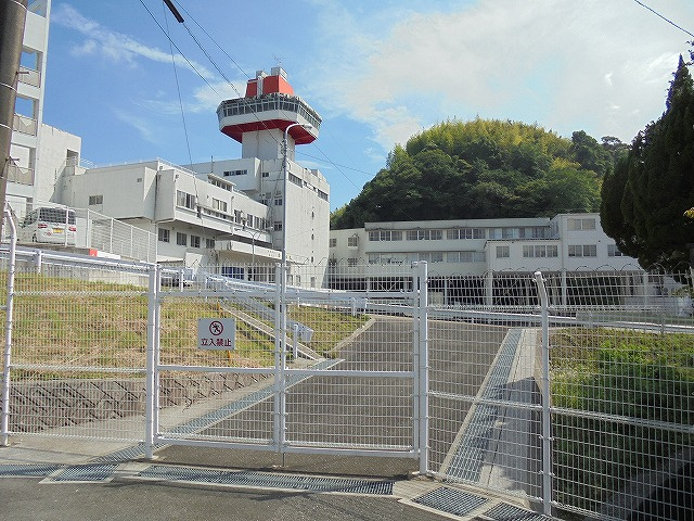 の画像