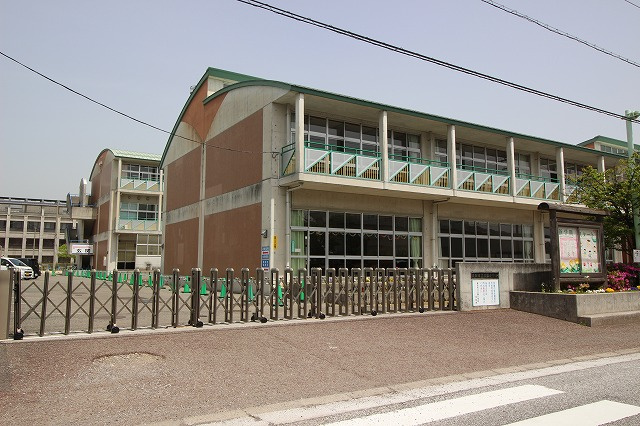 の画像