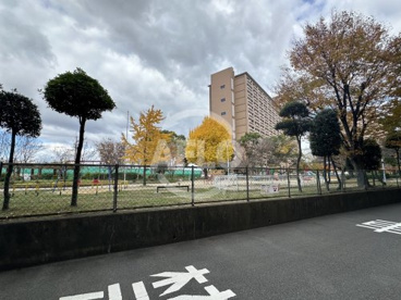 中津公園の画像1