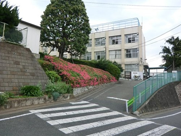 馬込東中学校の画像1