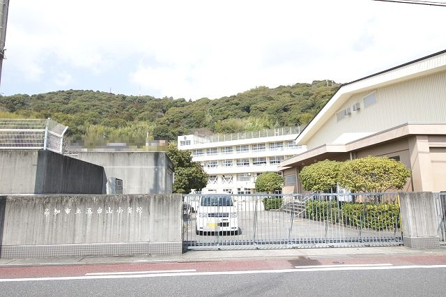 の画像