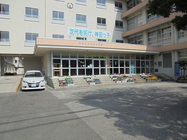 の画像