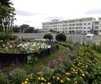藤沢市立俣野小学校の画像1