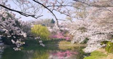神奈川県立 三ツ池公園