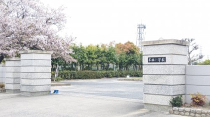 半田市立半田小学校の画像1