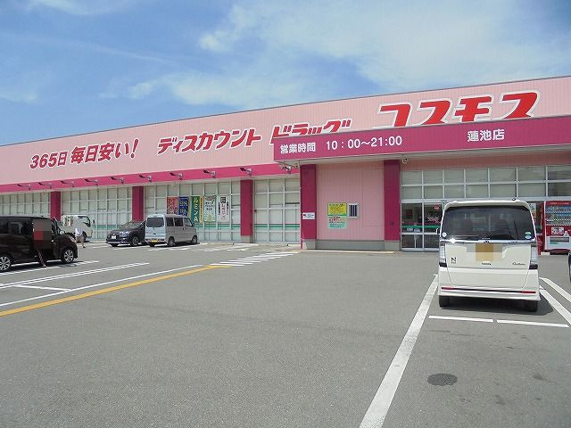 の画像
