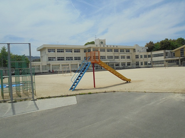 の画像