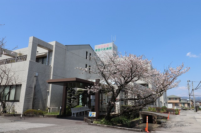 の画像