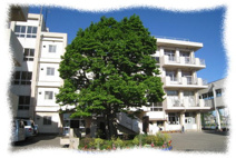 三芳町立竹間沢小学校