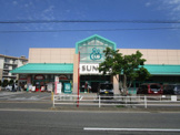 サニー向新町店