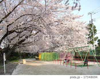 玉川上水第二公園の画像1