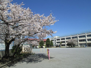 大田区立六郷小学校の画像1